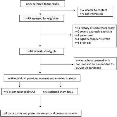 Transcranial Direct-Current Stimulation as an Adjunct to Verb Network Strengthening Treatment in Post-stroke Chronic Aphasia: A Double-Blinded Randomized Feasibility Study